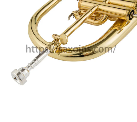 professional Bb Trigger Flugelhorns Aurosus is professional online discount store for musical instruments.