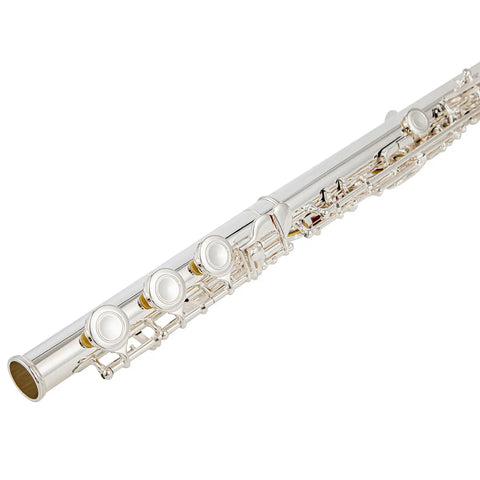 silver plated Intermediate 17keys open/closed hole c flute with b foot Joint offset g with case AUROSUS Musical Instrument Store