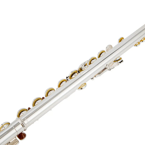 silver plated Intermediate 17keys open/closed hole c flute with b foot Joint offset g with case AUROSUS Musical Instrument Store