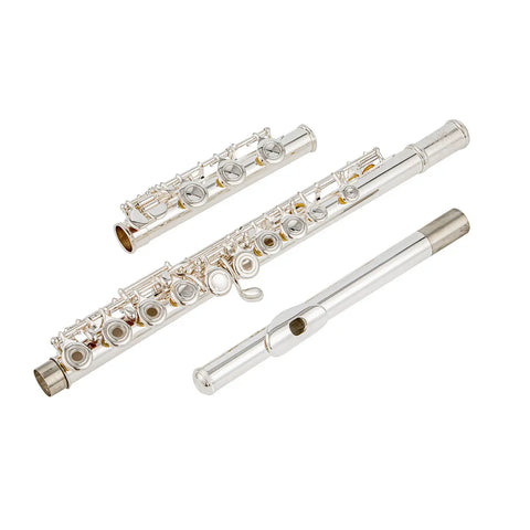 silver plated Intermediate 17keys open/closed hole c flute with b foot Joint offset g with case AUROSUS Musical Instrument Store