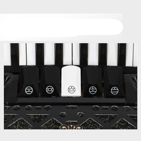 yingwu accordion YW-823 beginner musical instrument beginner adult art exam 34 key 60 bass accordion - AUROSUS  Musical Instrument Store